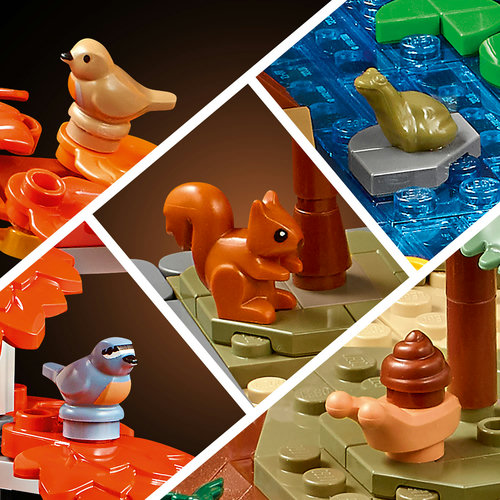 LEGO Icons 11372: quatro animais close-up, pisco-de-peito-ruivo, pisco-azul, esquilo, sapo, caracol