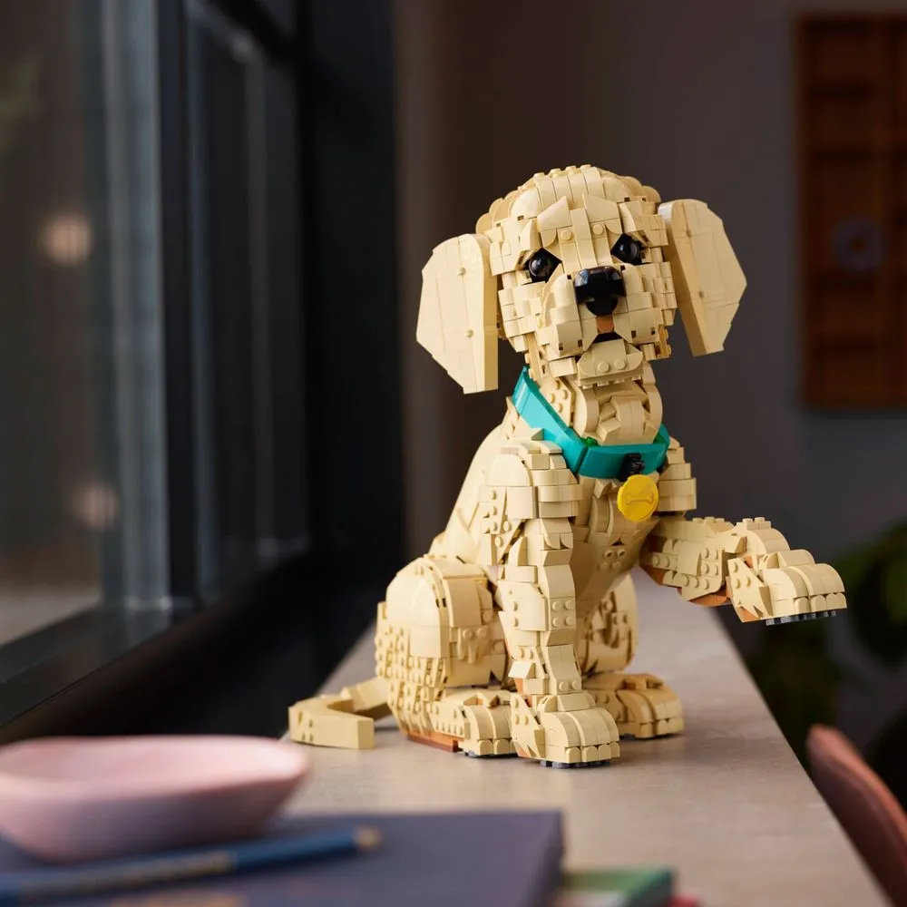 Golden Retriever LEGO em ambiente de mesa de escritório, cenário de exibição
