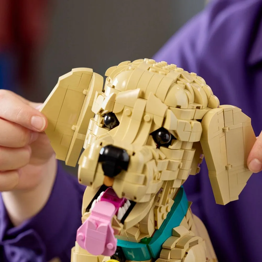 Close-up da cabeça do Golden Retriever LEGO mostrando articulação das orelhas