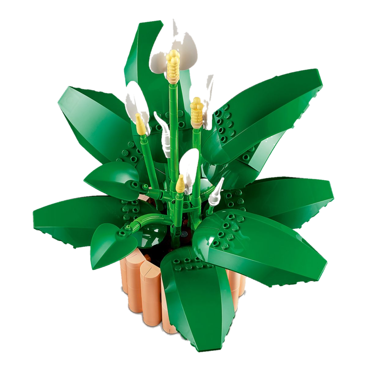 Close-up do Lírio da Paz LEGO 11504, seis flores brancas em três estágios de florescimento e folhas verdes largas