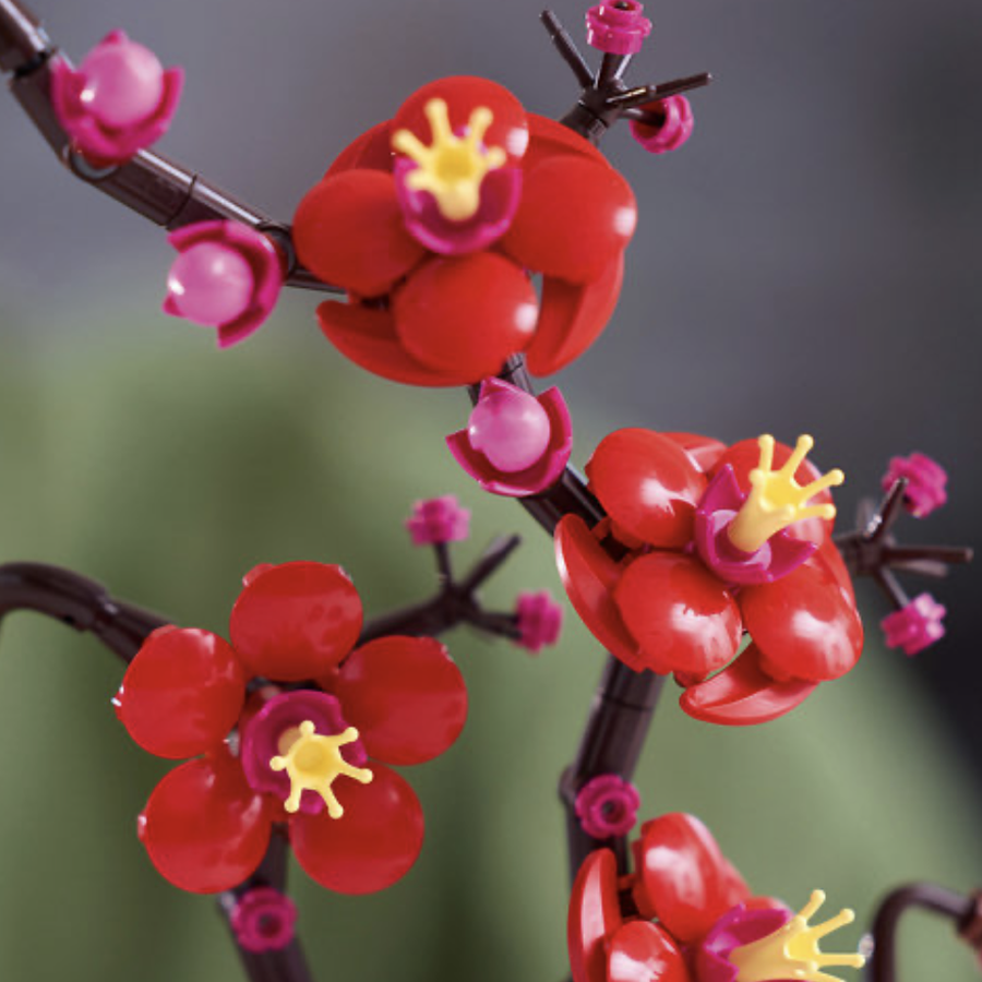 Close-up das flores LEGO Botanicals 10369 em várias etapas de crescimento — botões, flores desabrochando e flores em plena floração