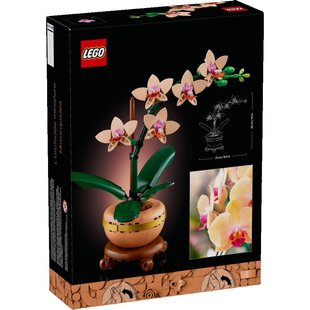 Set LEGO Botanical 10343 Mini Orquídea montado no vaso terracota LEGO incluso, com fita dourada e base de madeira