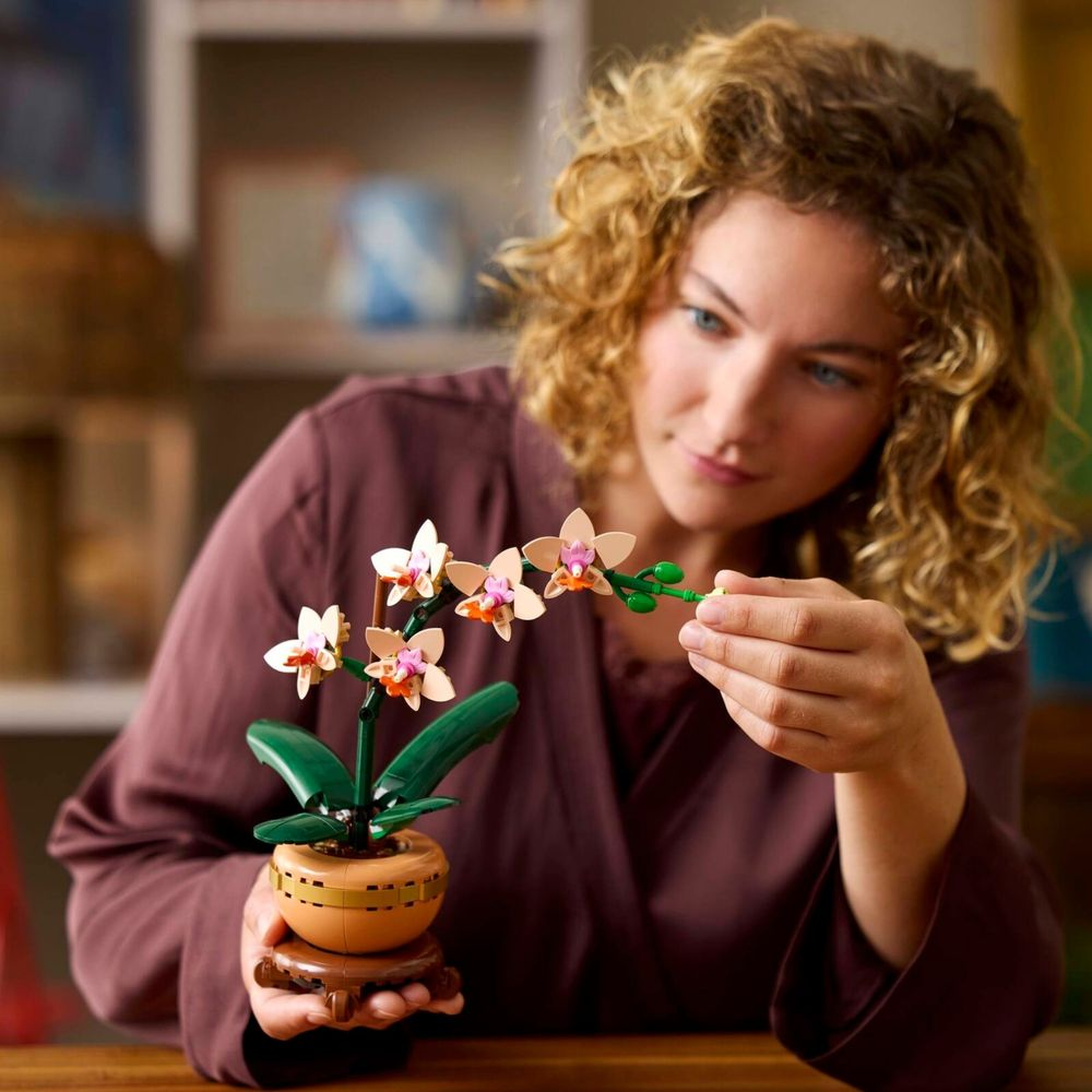 LEGO Botanical 10343 Orquídea no vaso terracota LEGO, ambientada em estante residencial